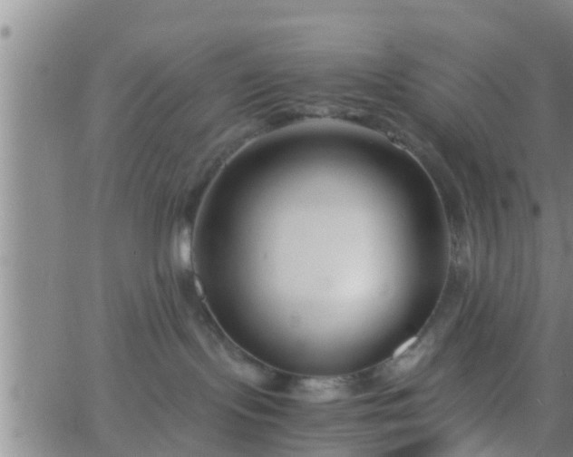 X0000063520095200601271847