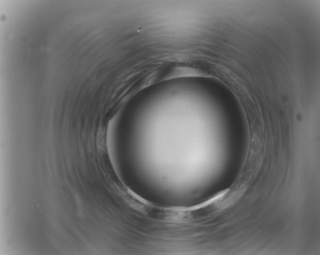 X0000063520096200601271847