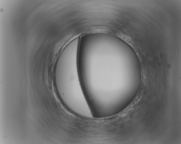 X0000063520097200601271846