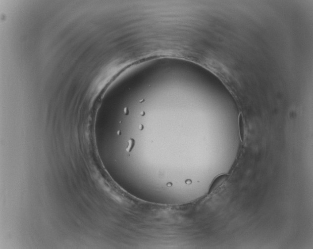 X0000063520098200601271846