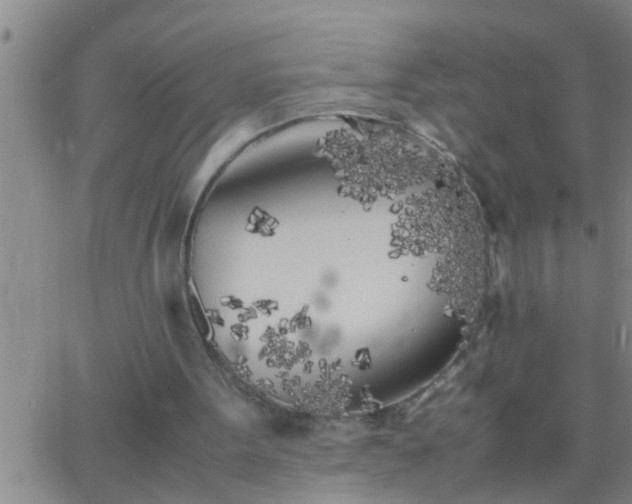 X0000063520099200601271846