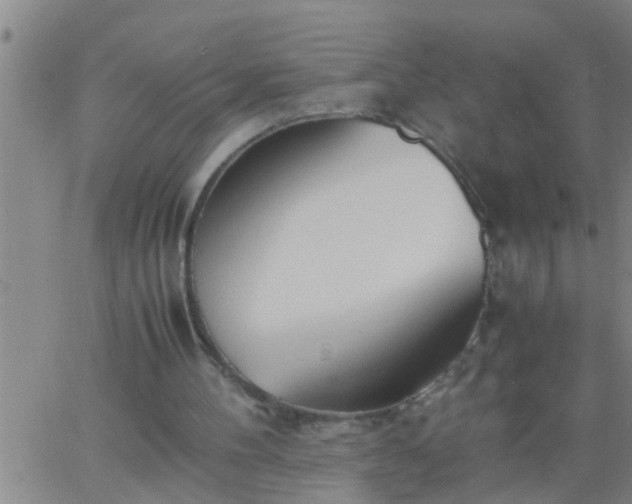 X0000063520100200601271846