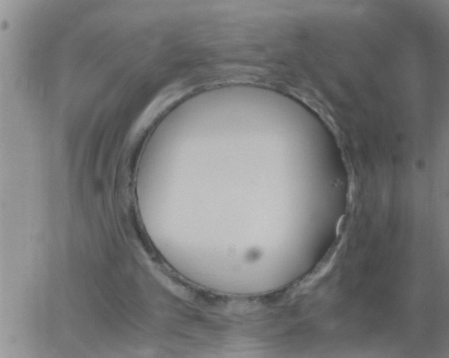 X0000063520101200601271846