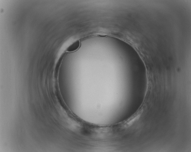 X0000063520102200601271846