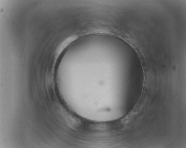 X0000063520104200601271846