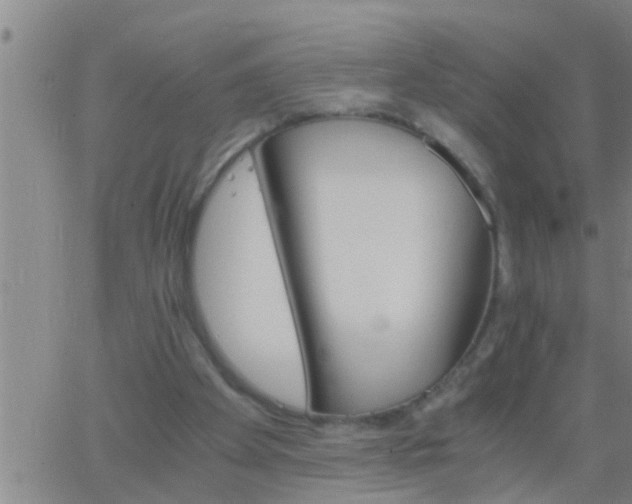 X0000063520105200601271846