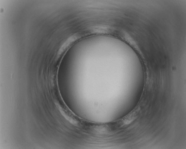 X0000063520106200601271846