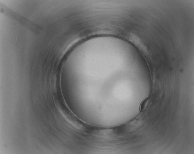 X0000063520108200601271846