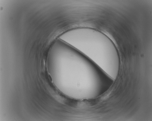 X0000063520109200601271846