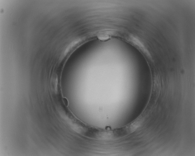 X0000063520110200601271846