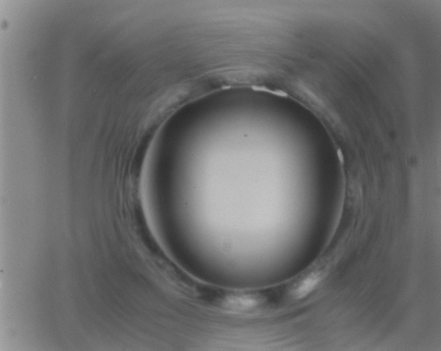 X0000063520117200601271846