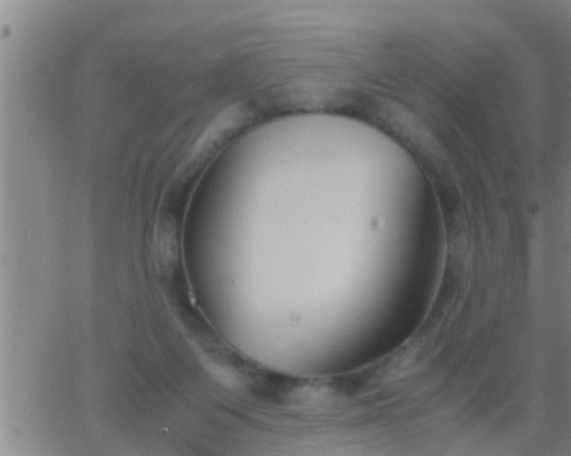 X0000063520119200601271846