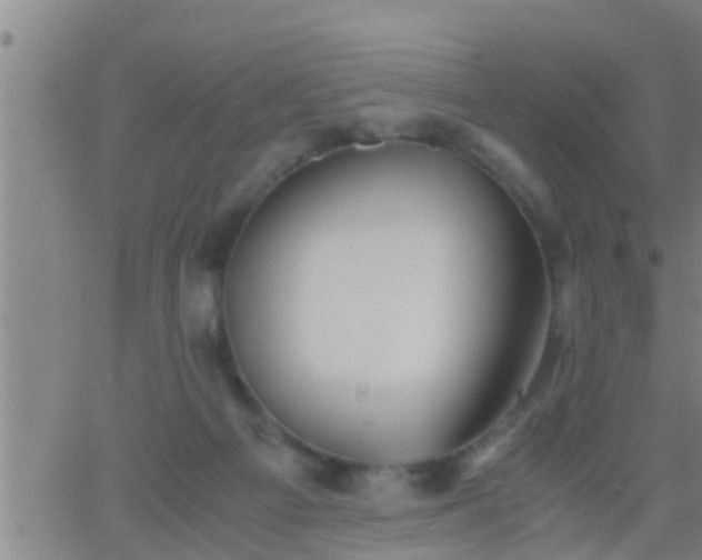 X0000063520121200601271846