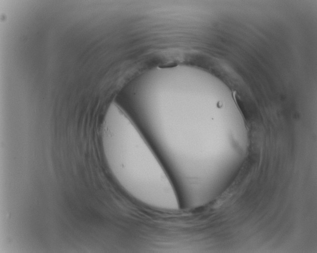 X0000063520125200601271845