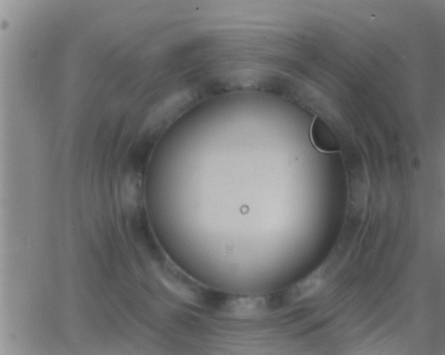 X0000063520126200601271845