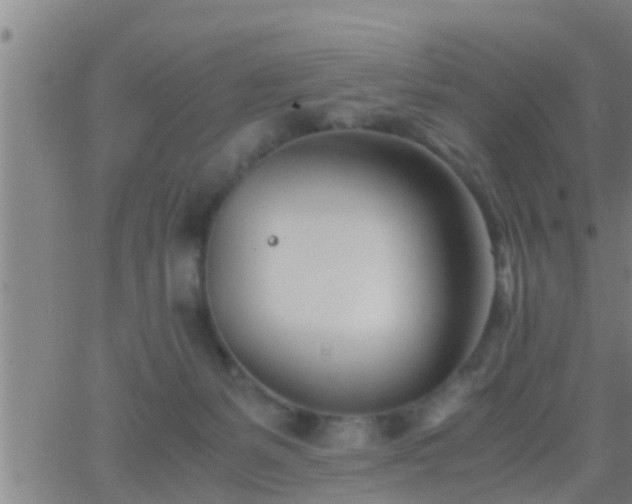 X0000063520127200601271845