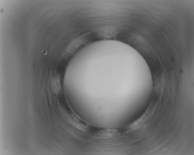 X0000063520128200601271845