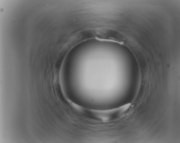 X0000063520129200601271845