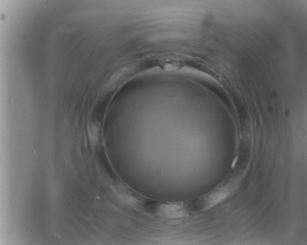 X0000063520139200601271845