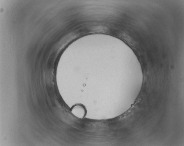 X0000063520146200601271844