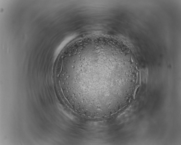 X0000063520147200601271844