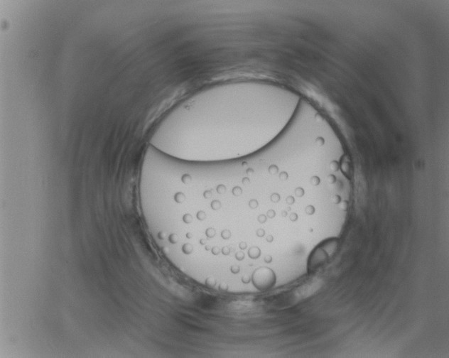 X0000063520153200601271845