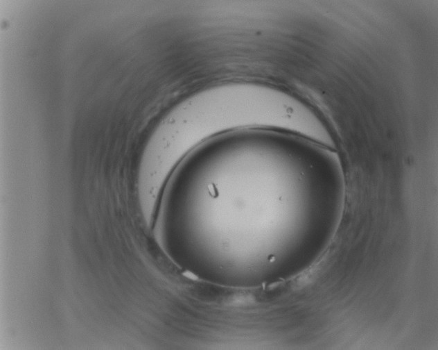 X0000063520162200601271845