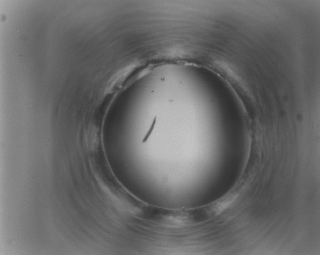 X0000063520164200601271845