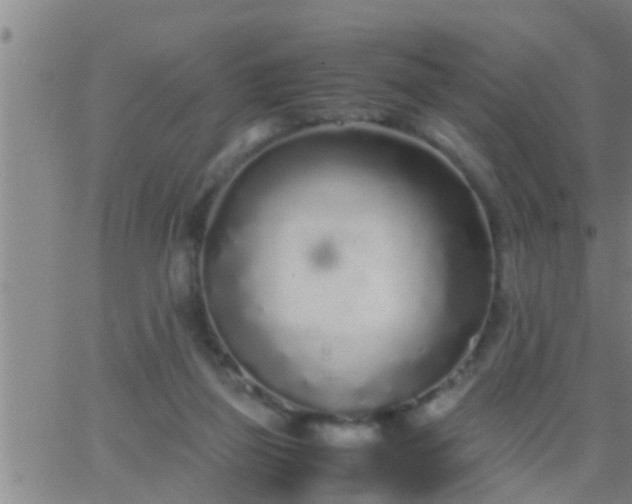 X0000063520165200601271845