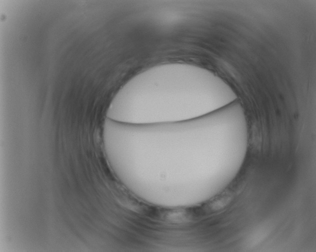 X0000063520173200601271845