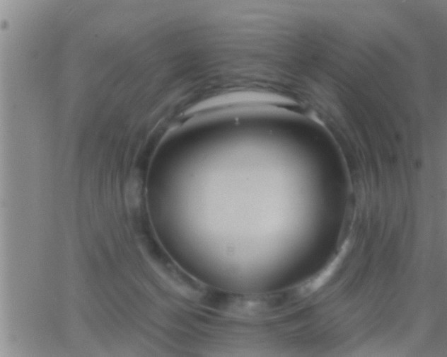 X0000063520174200601271845