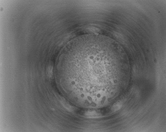 X0000063520177200601271845