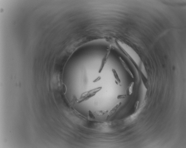 X0000063520182200601271845