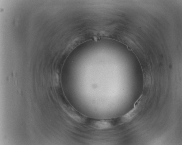 X0000063520183200601271845