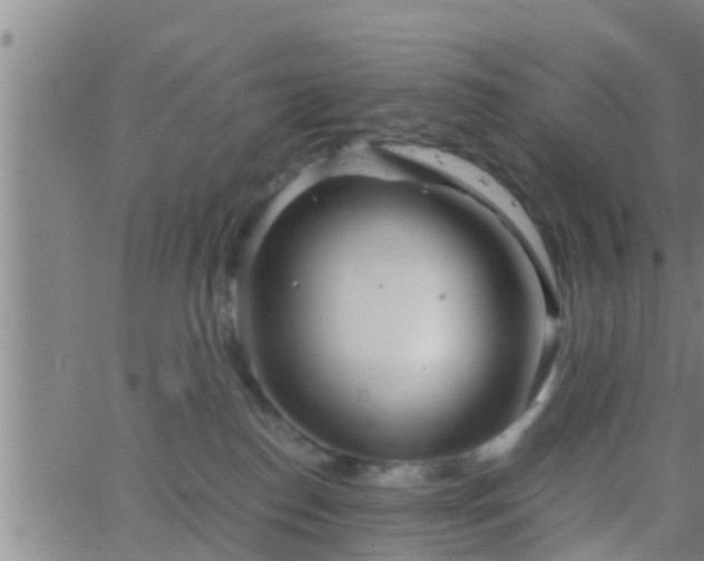 X0000063520186200601271845