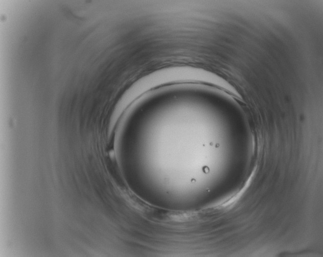 X0000063520190200601271845