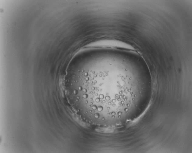 X0000063520191200601271845