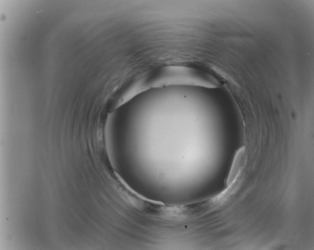 X0000063520192200601271845