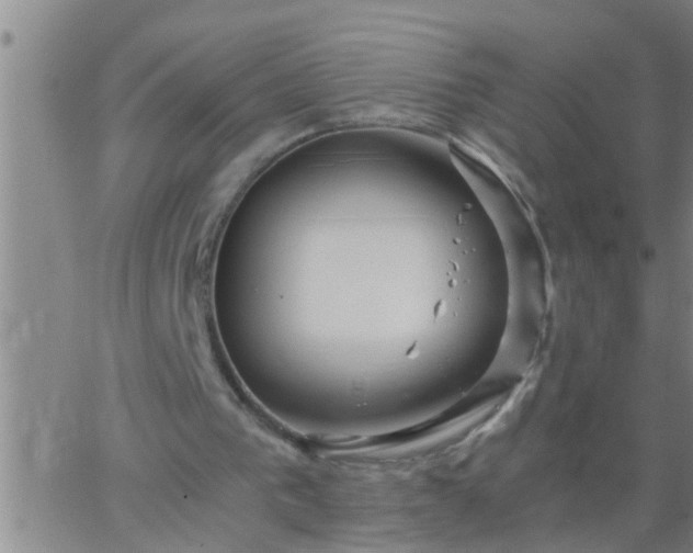 X0000063520193200601271844