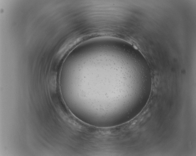 X0000063520194200601271844