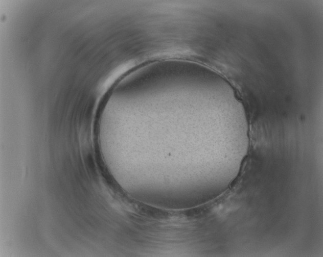 X0000063520196200601271844