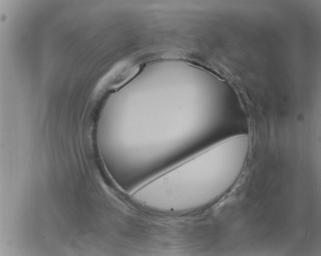 X0000063520197200601271844