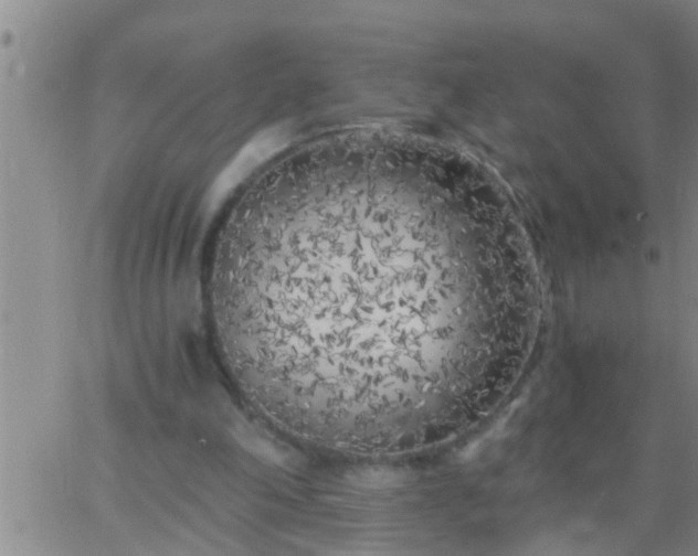 X0000063520198200601271844