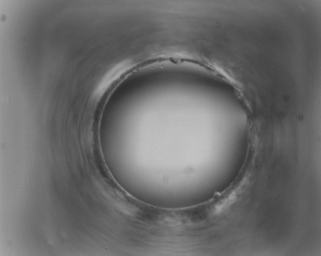 X0000063520199200601271844