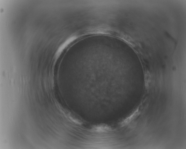 X0000063520200200601271844