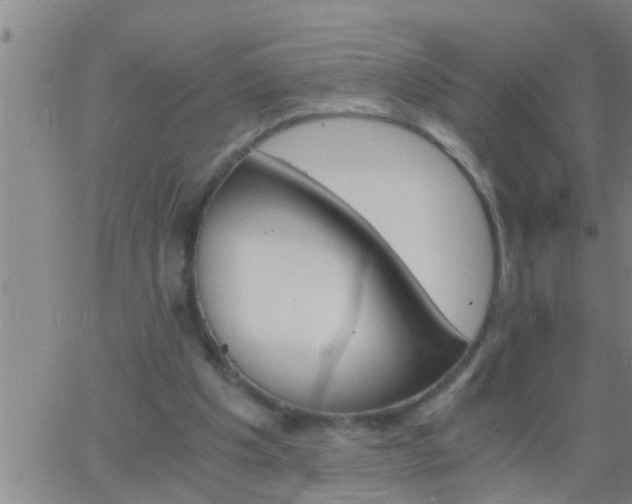 X0000063520201200601271844