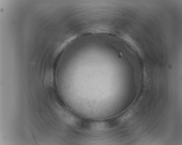 X0000063520202200601271844