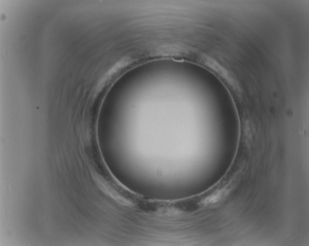 X0000063520203200601271844