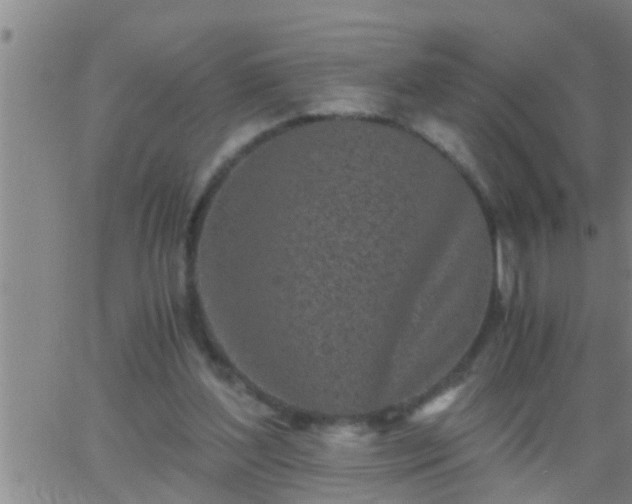 X0000063520204200601271844