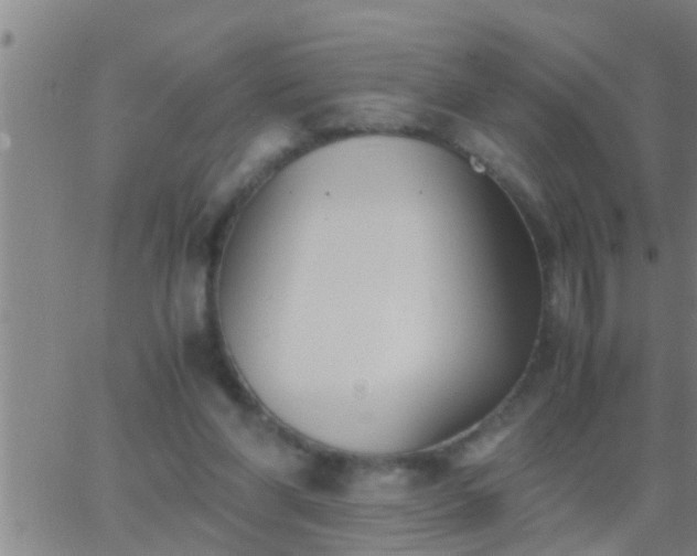 X0000063520206200601271844